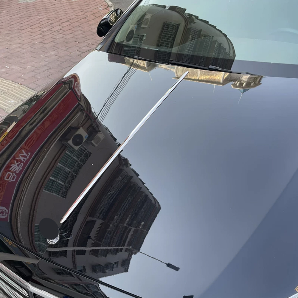 Edelstahl-Motorhauben-Zierleis – Car Care Bewertung und Preis